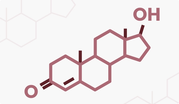 Energy & Vitality Support