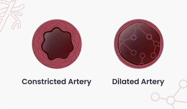 Enhanced Circulation for Overall Health